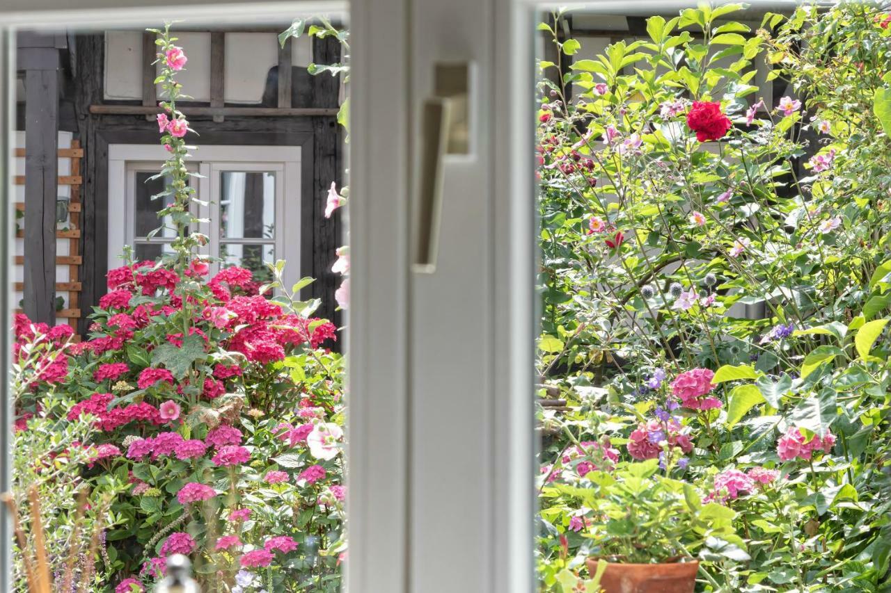Homestay An Der Gose - Gaestezimmer &